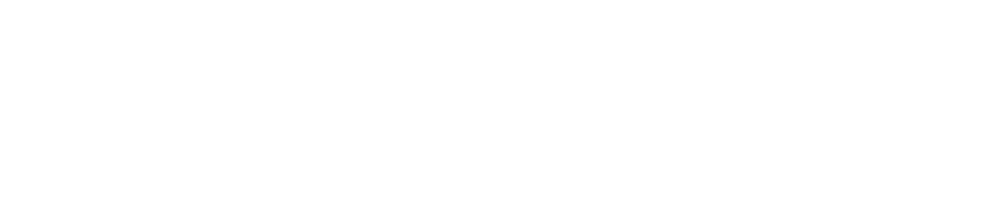 Mega Fortune Mobil